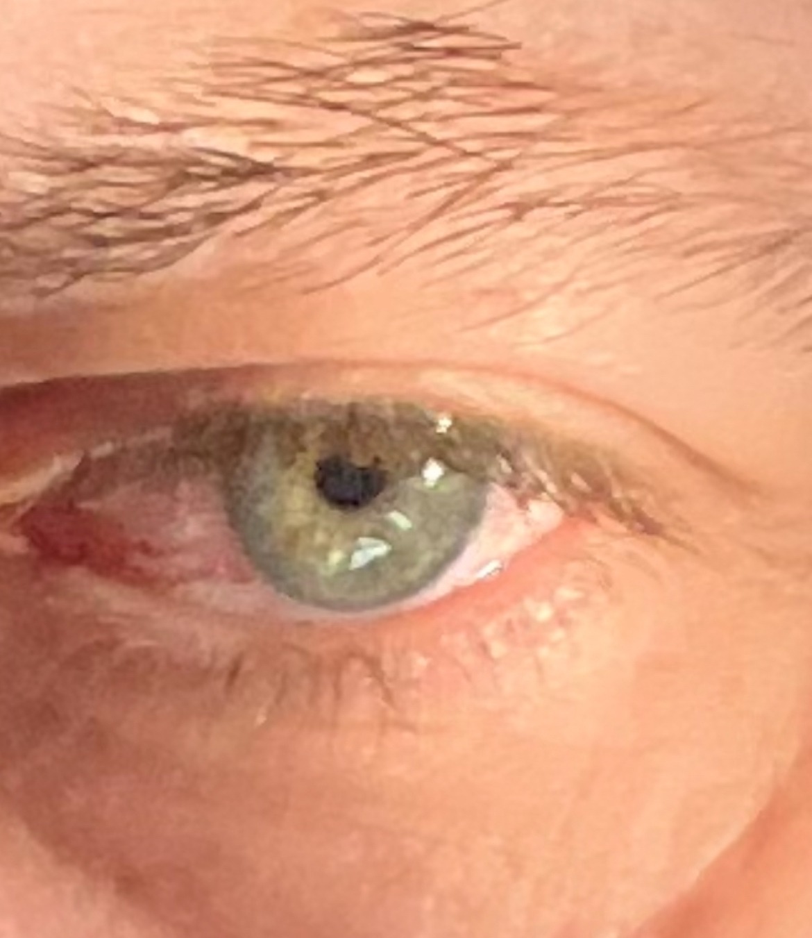 Profil de Ilario, 52 ans, Speed Dating France à Putot-en-Auge